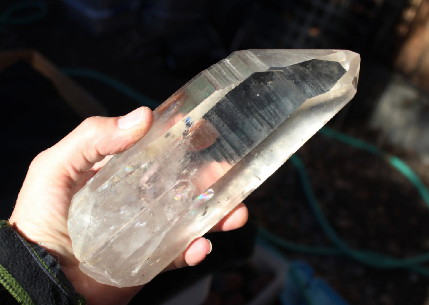 Lemurian Quartz Crystal Extra-Large