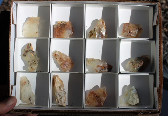 Wholesale Mount Shasta Opal Lot of 12 Pieces