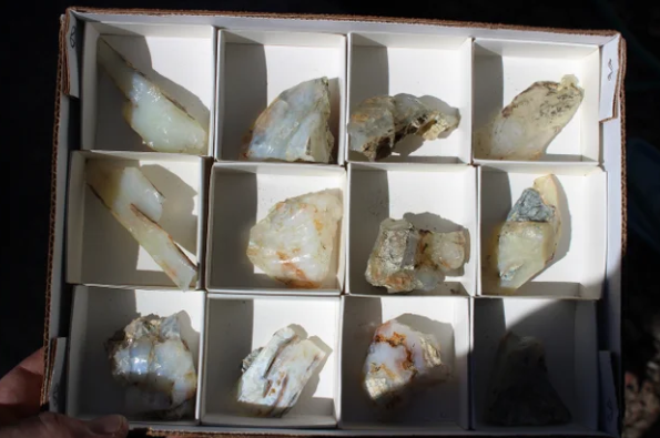 Wholesale Mount Shasta Opal Lot of 12 Pieces