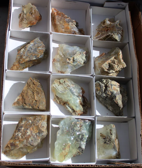 Wholesale Mount Shasta Opal Lot of 12 Pieces