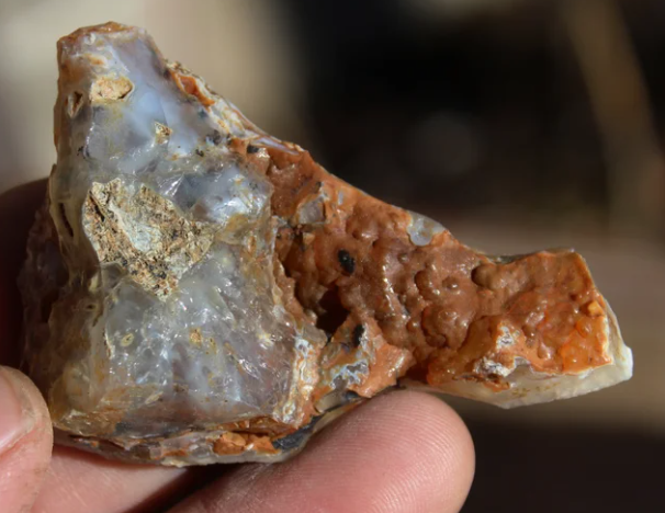 Wholesale Mount Shasta Opal Lot of 24 Pieces