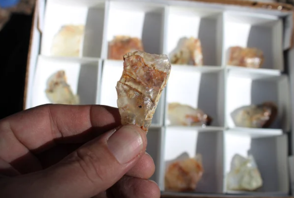 Wholesale Mount Shasta Opal Lot of 12 Pieces