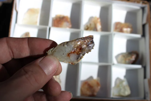 Wholesale Mount Shasta Opal Lot of 12 Pieces
