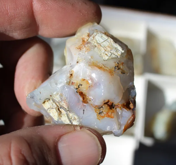 Wholesale Mount Shasta Opal Lot of 12 Pieces