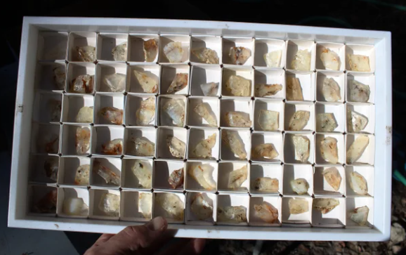 Wholesale Mount Shasta Opal Lot of 66 Pieces