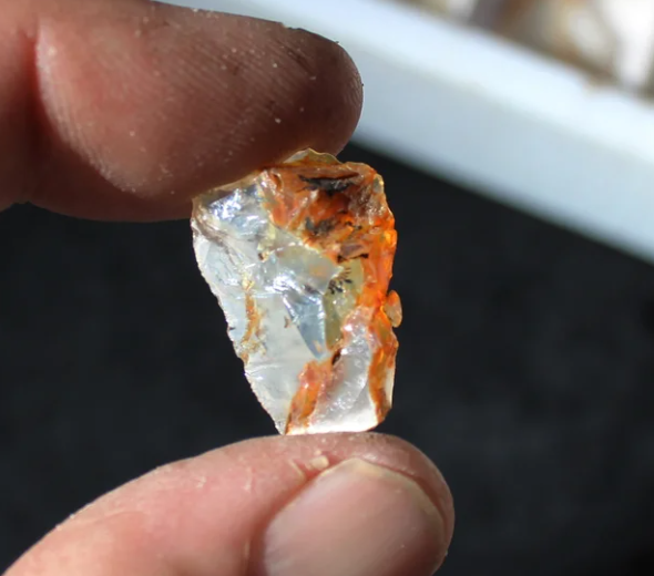 Wholesale Mount Shasta Opal Lot of 66 Pieces