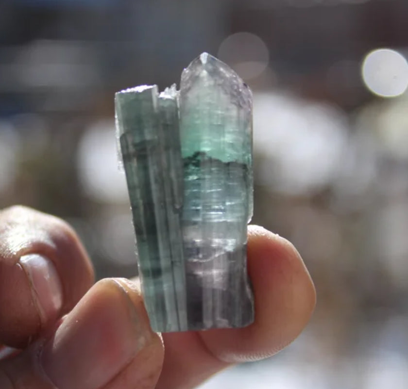 Pink, Purple, Blue and Green Tourmaline