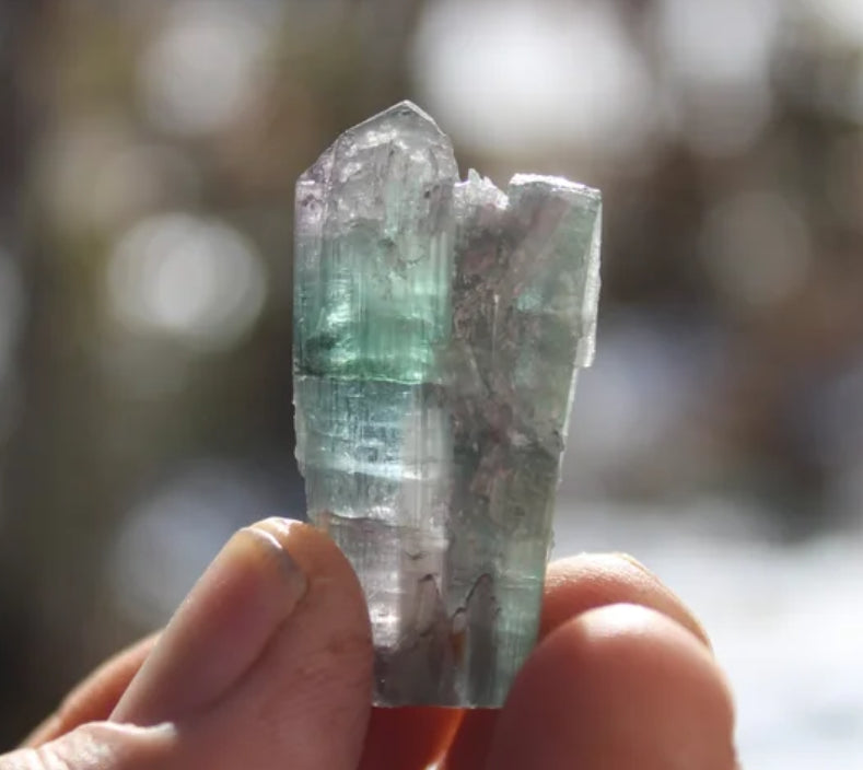 Pink, Purple, Blue and Green Tourmaline