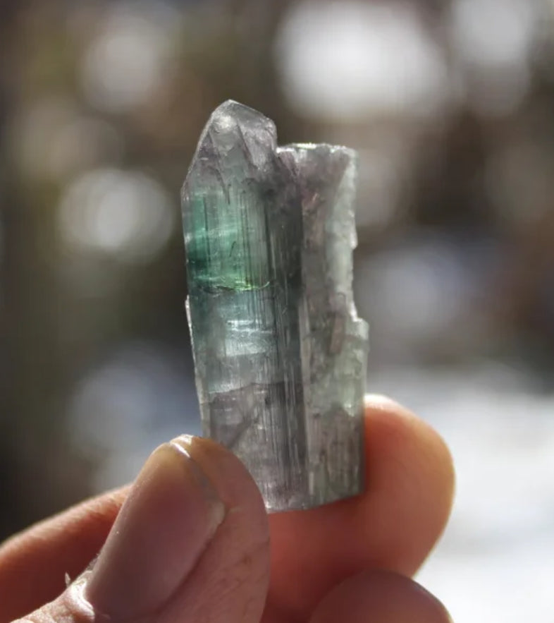 Pink, Purple, Blue and Green Tourmaline