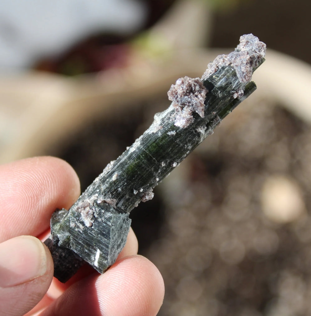 Green Tourmaline with Lepidolite