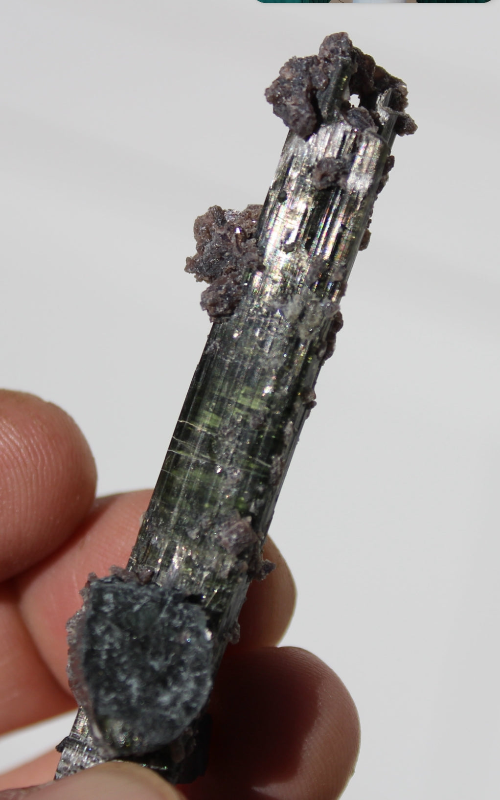 Green Tourmaline with Lepidolite