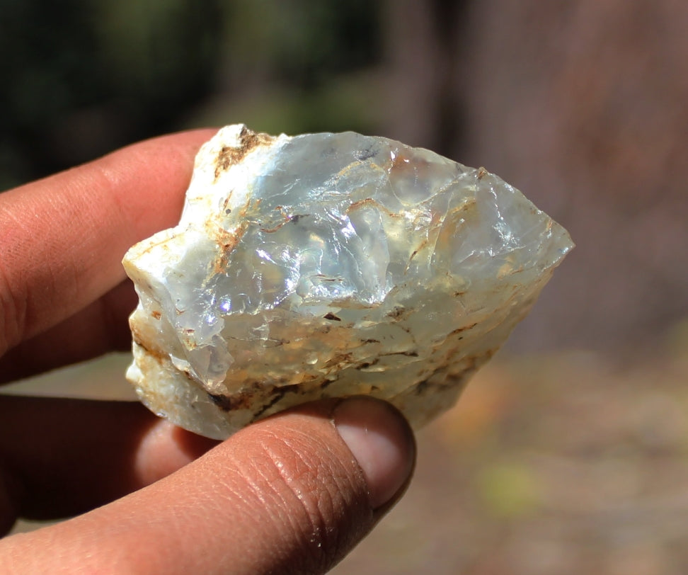 Mount Shasta Opal