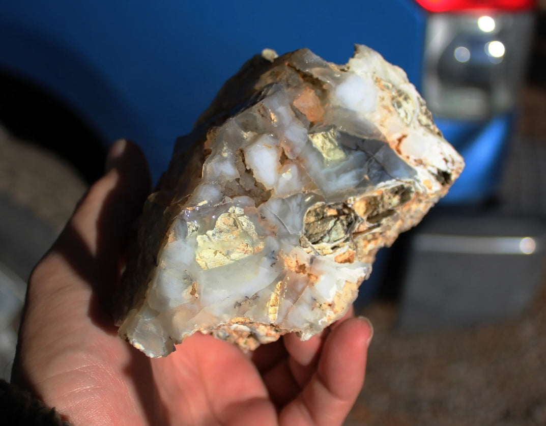 Mount Shasta Nebula Opal One Side Polished
