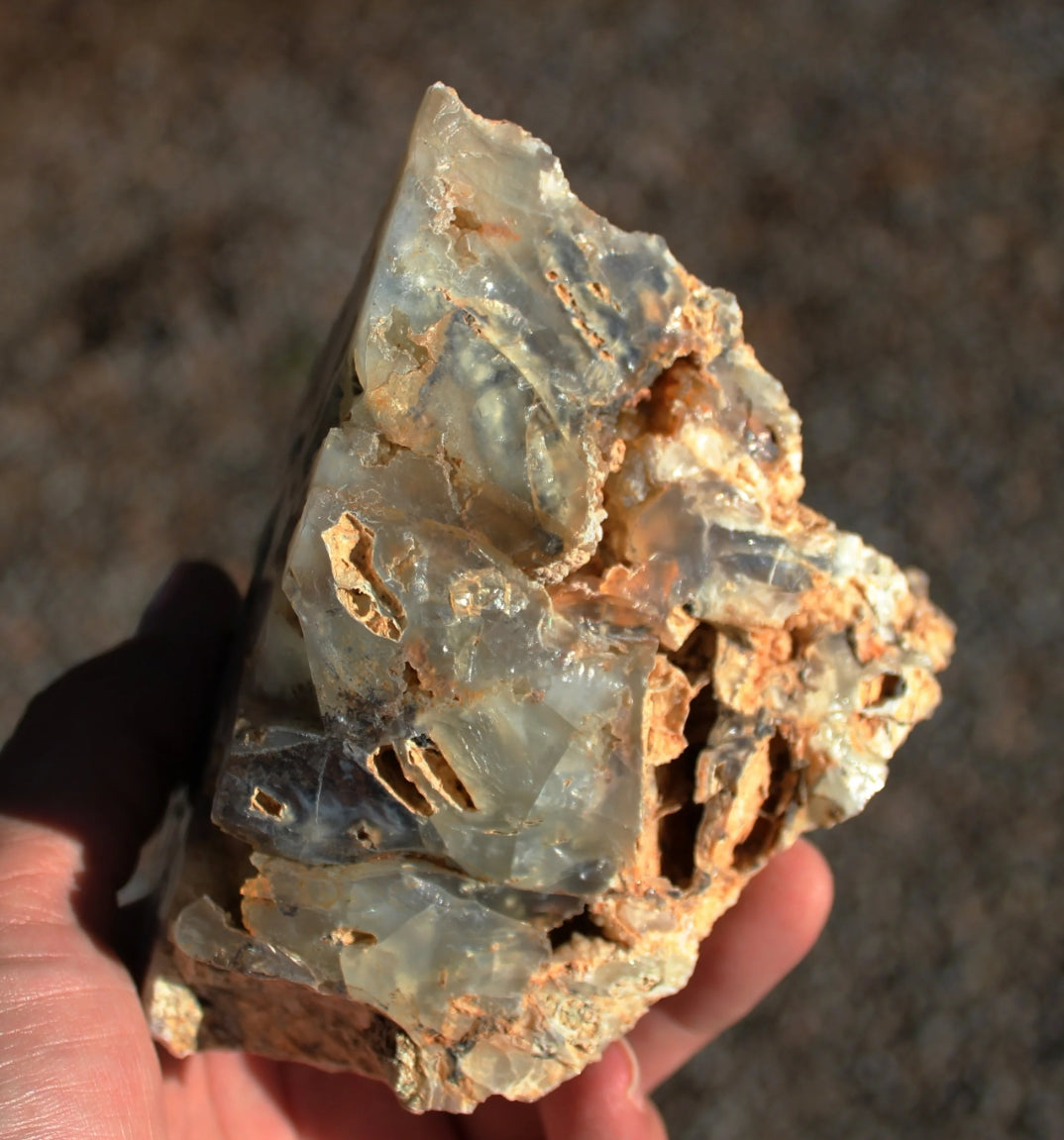 Mount Shasta Nebula Opal One Side Polished