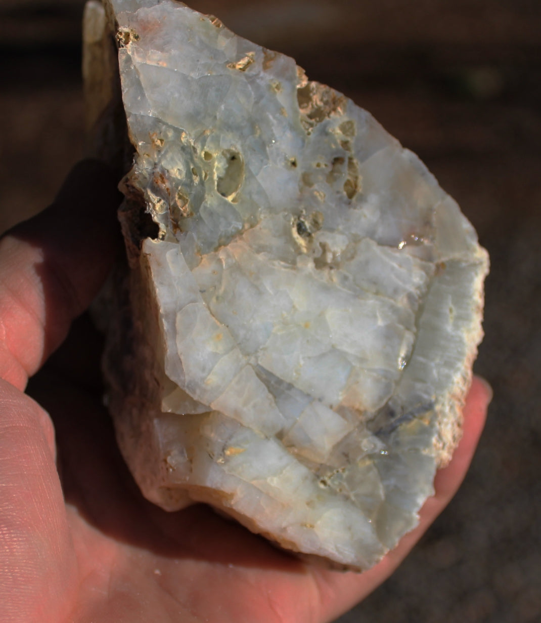 Mount Shasta Opal One Side Polished