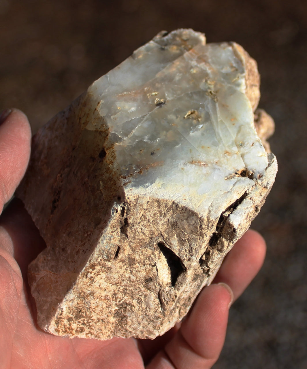 Mount Shasta Opal One Side Polished