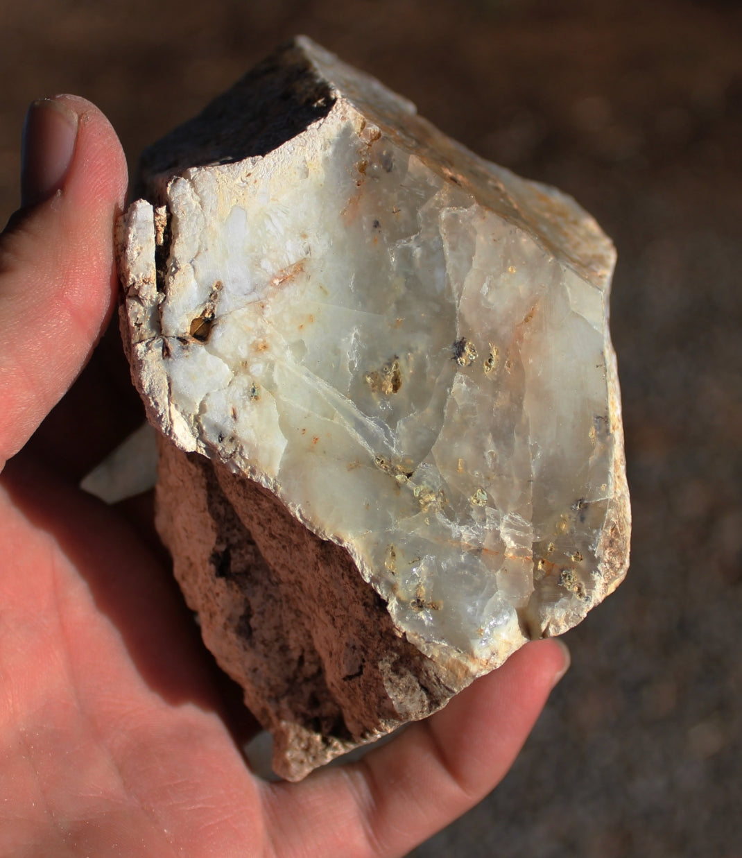 Mount Shasta Opal One Side Polished