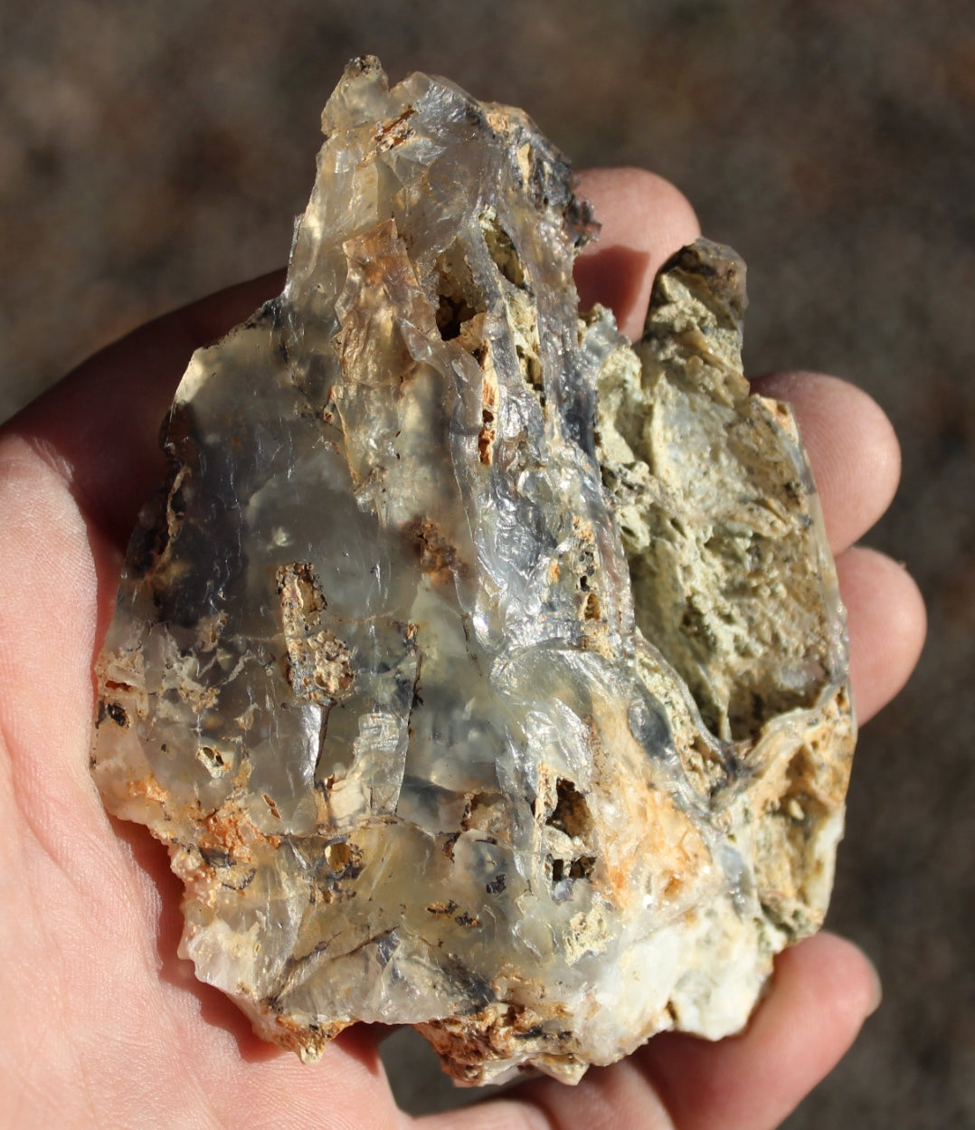 Mount Shasta Opal