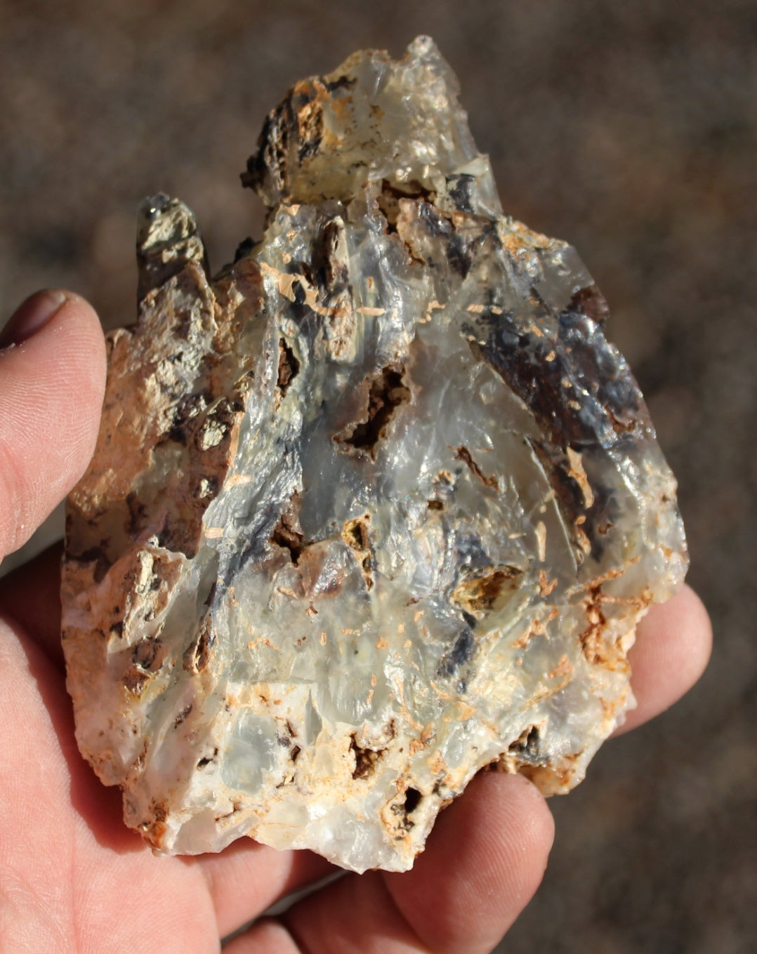 Mount Shasta Opal