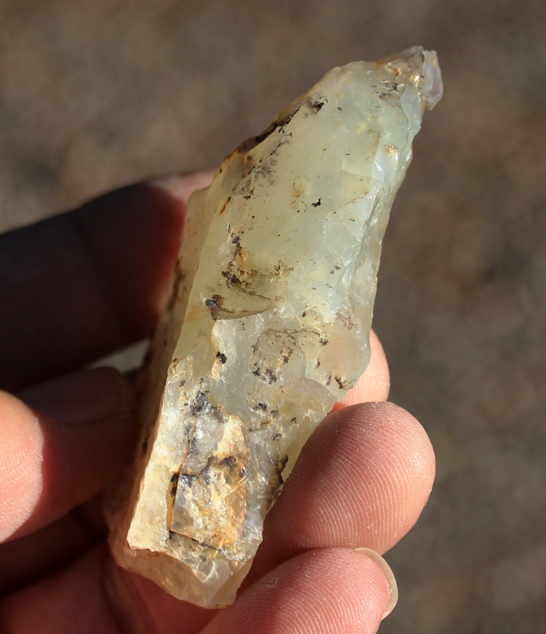 Mount Shasta Opal