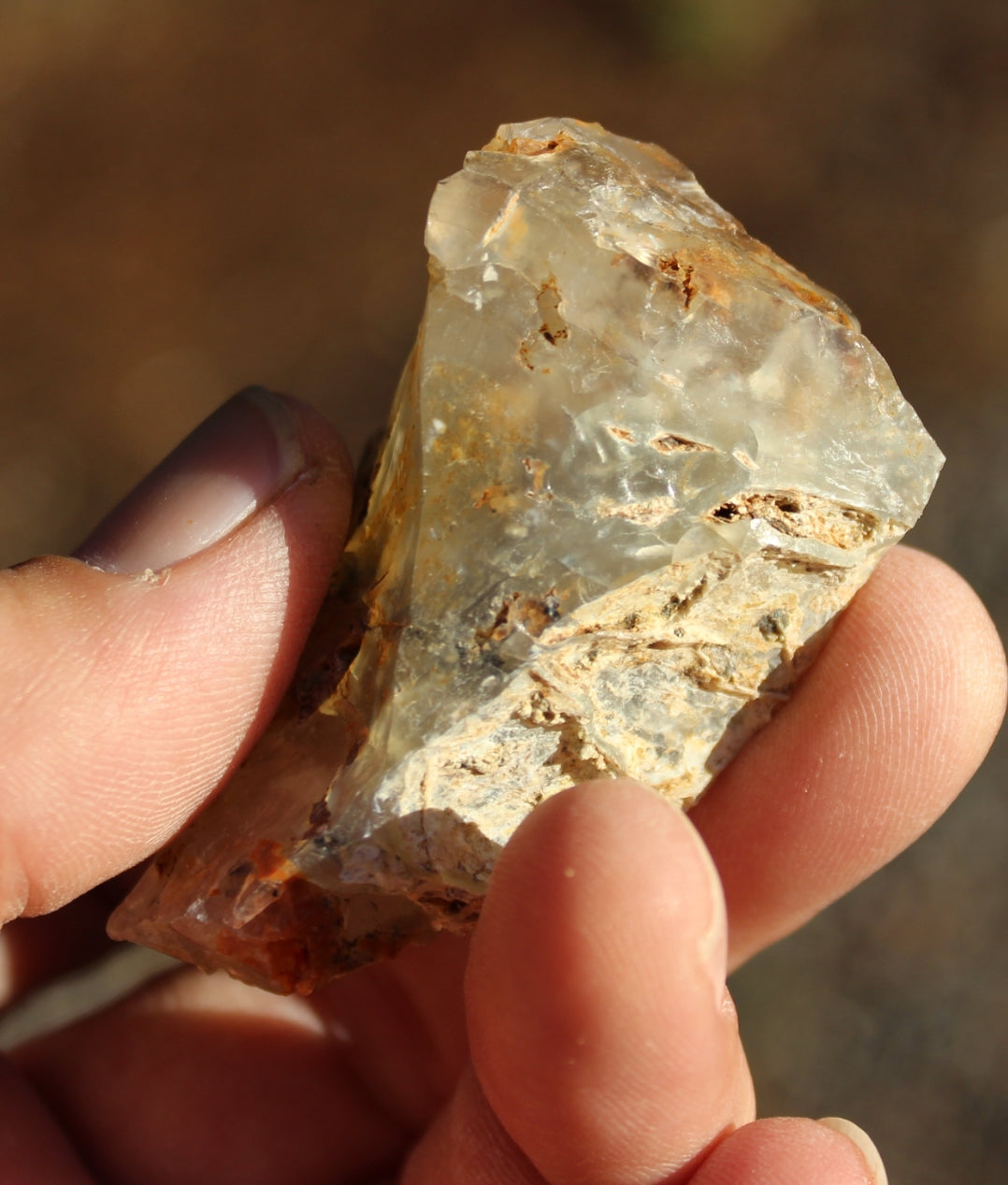 Mount Shasta Opal