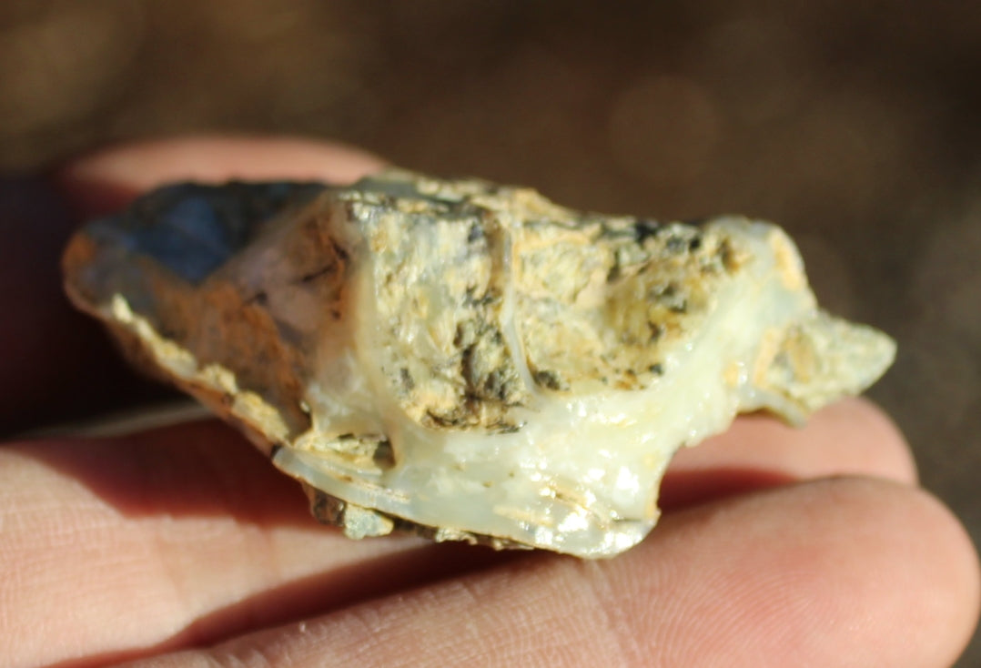 Mount Shasta Opal