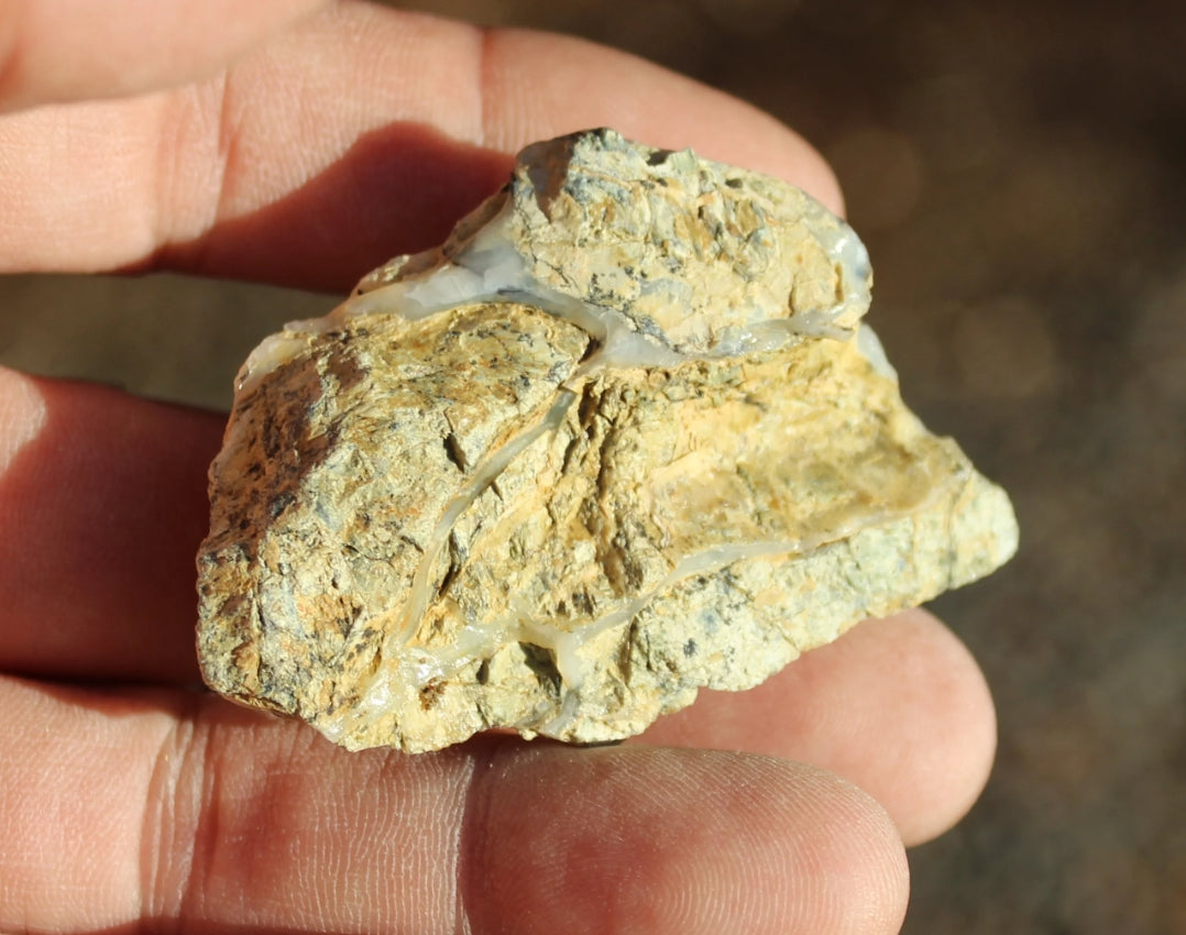 Mount Shasta Opal