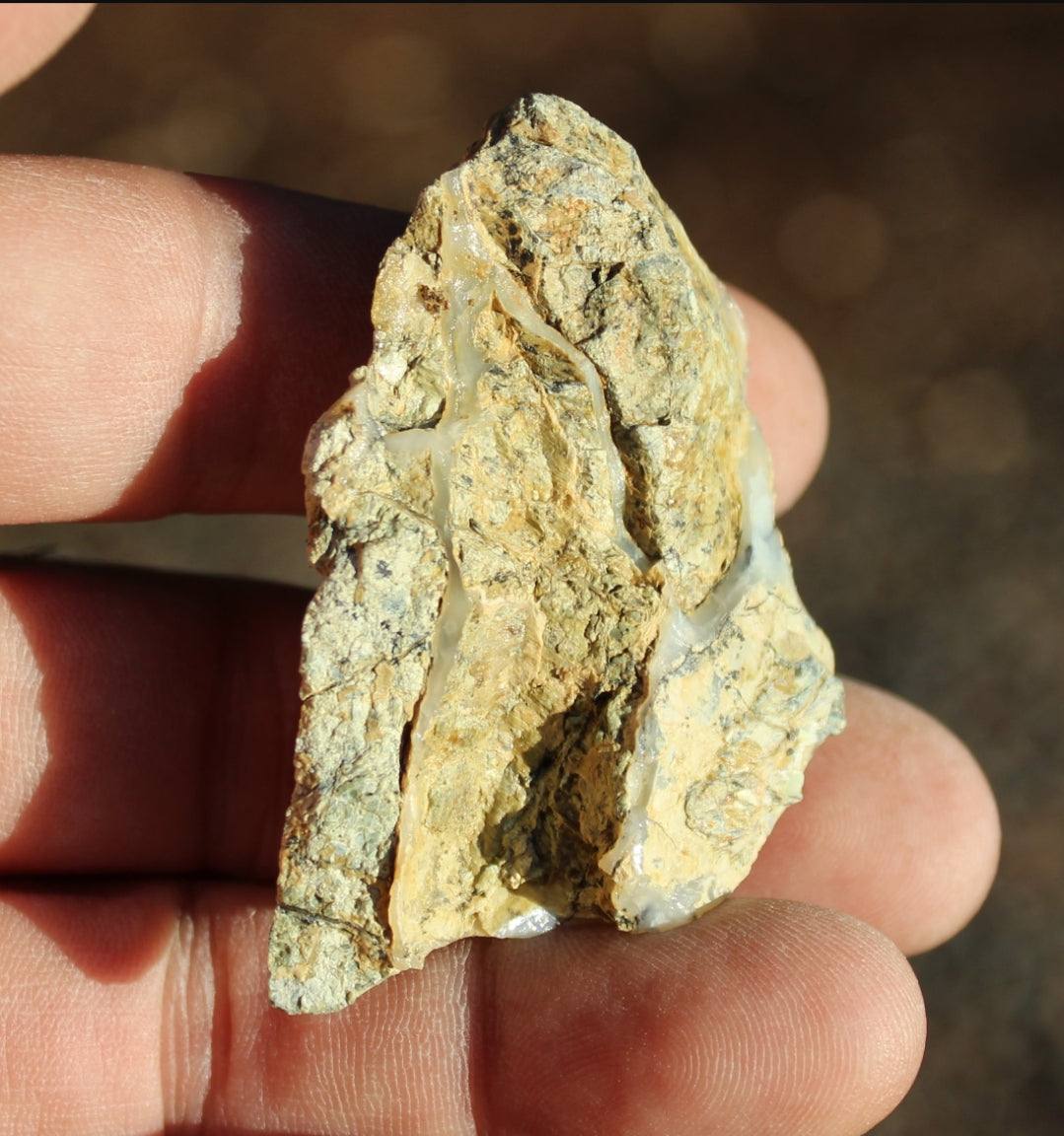 Mount Shasta Opal