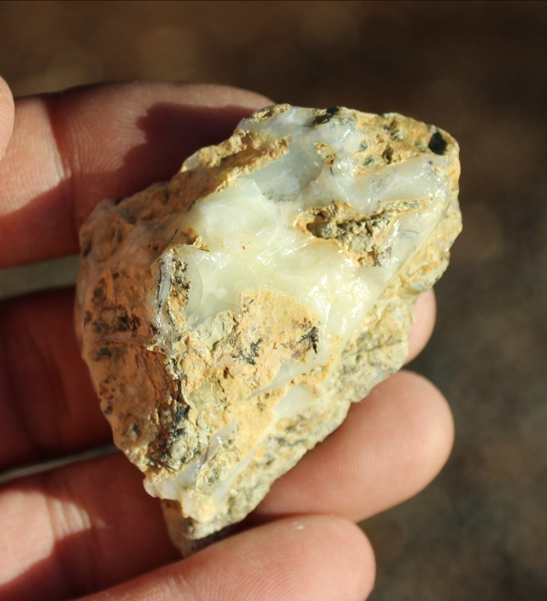 Mount Shasta Opal
