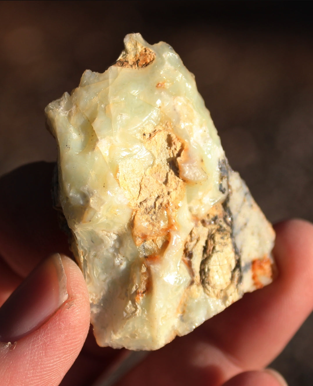 Mount Shasta Opal