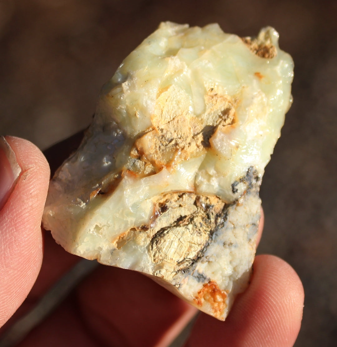 Mount Shasta Opal