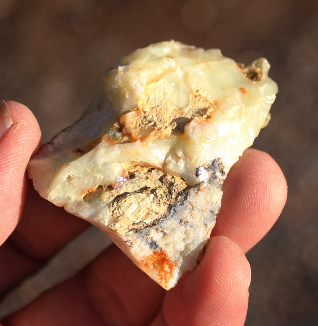 Mount Shasta Opal