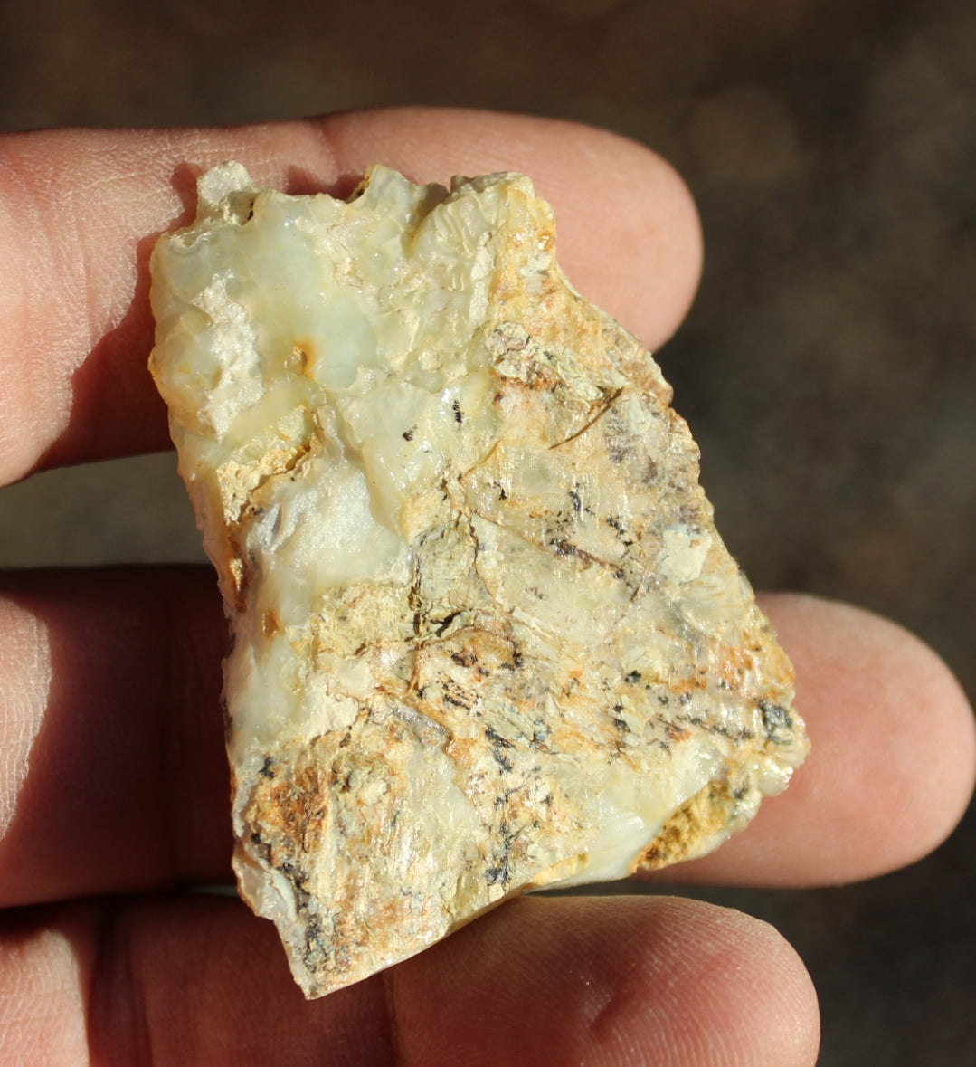 Mount Shasta Opal