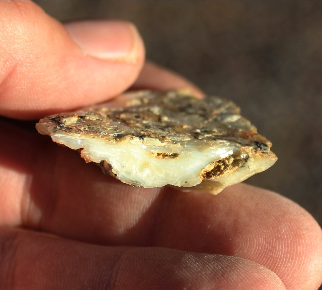 Mount Shasta Opal