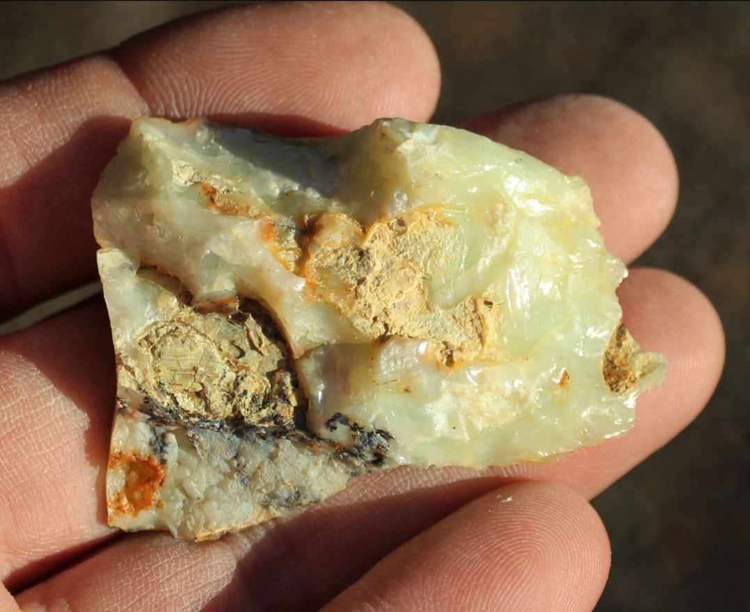 Mount Shasta Opal