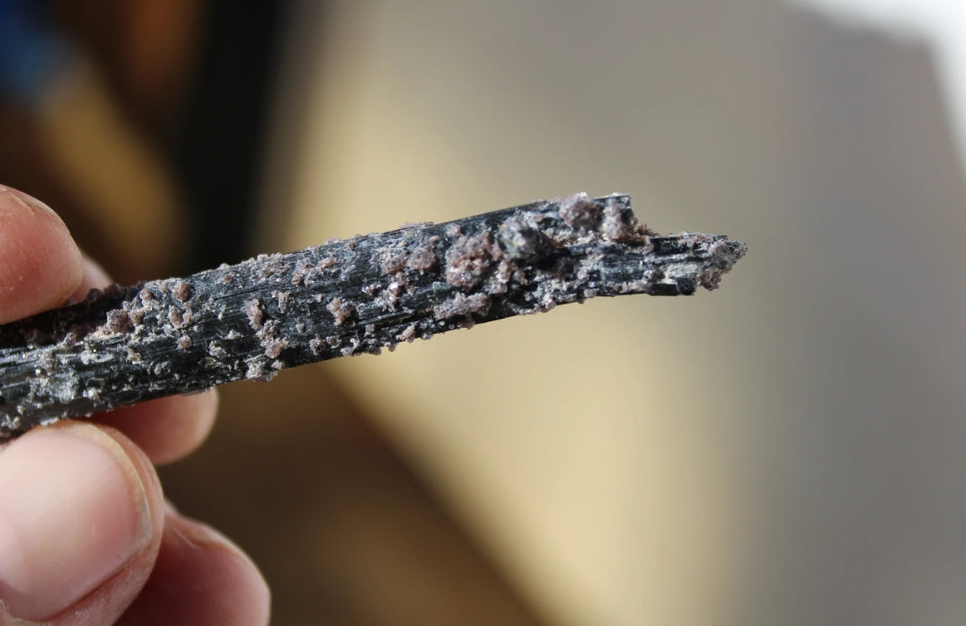 Green Tourmaline with Lepidolite
