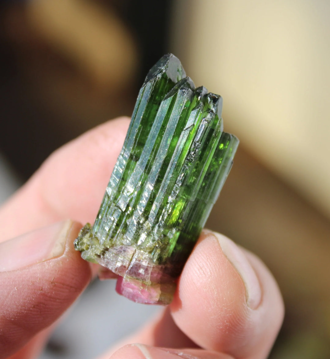 Watermelon Tourmaline