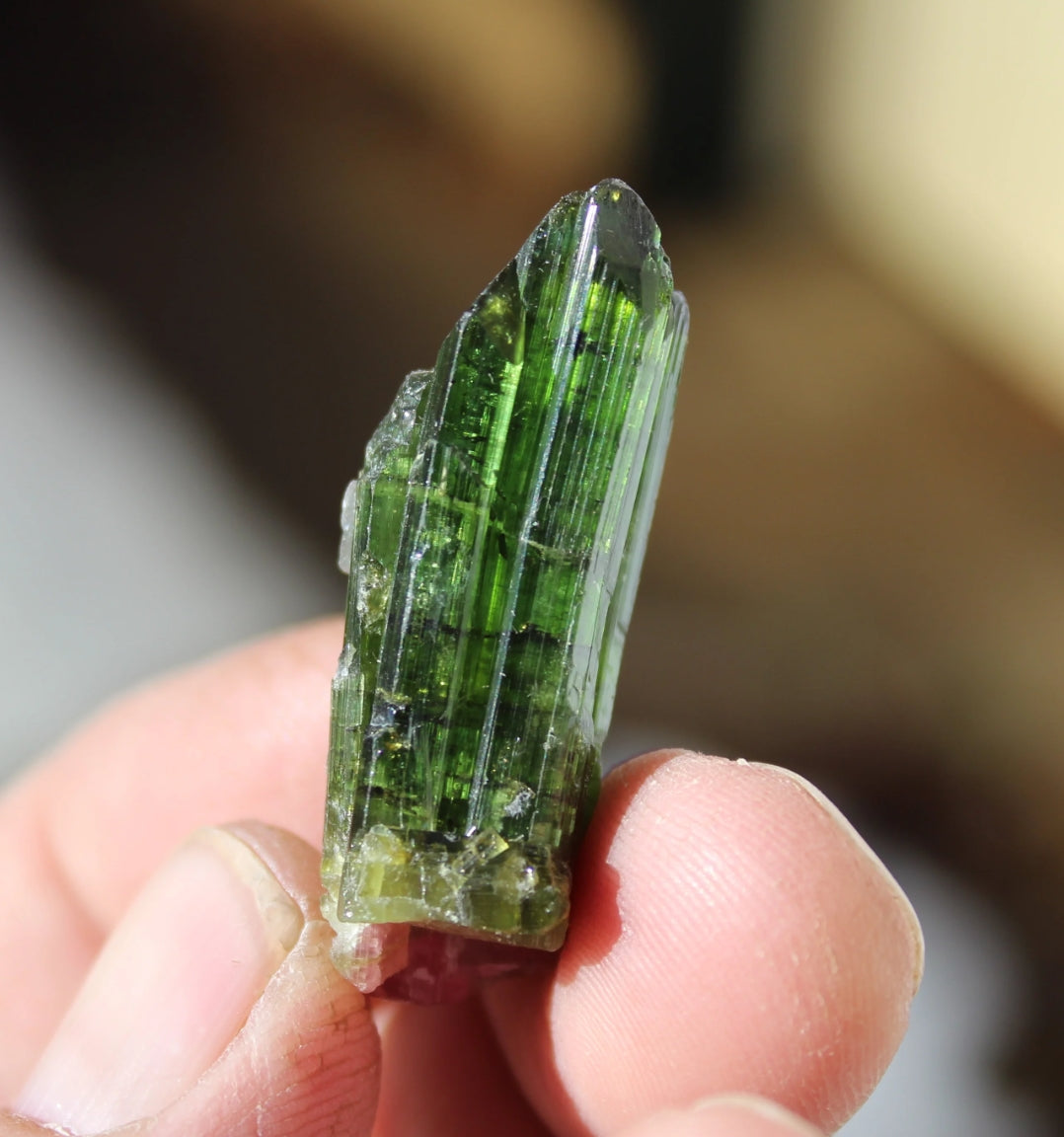 Watermelon Tourmaline