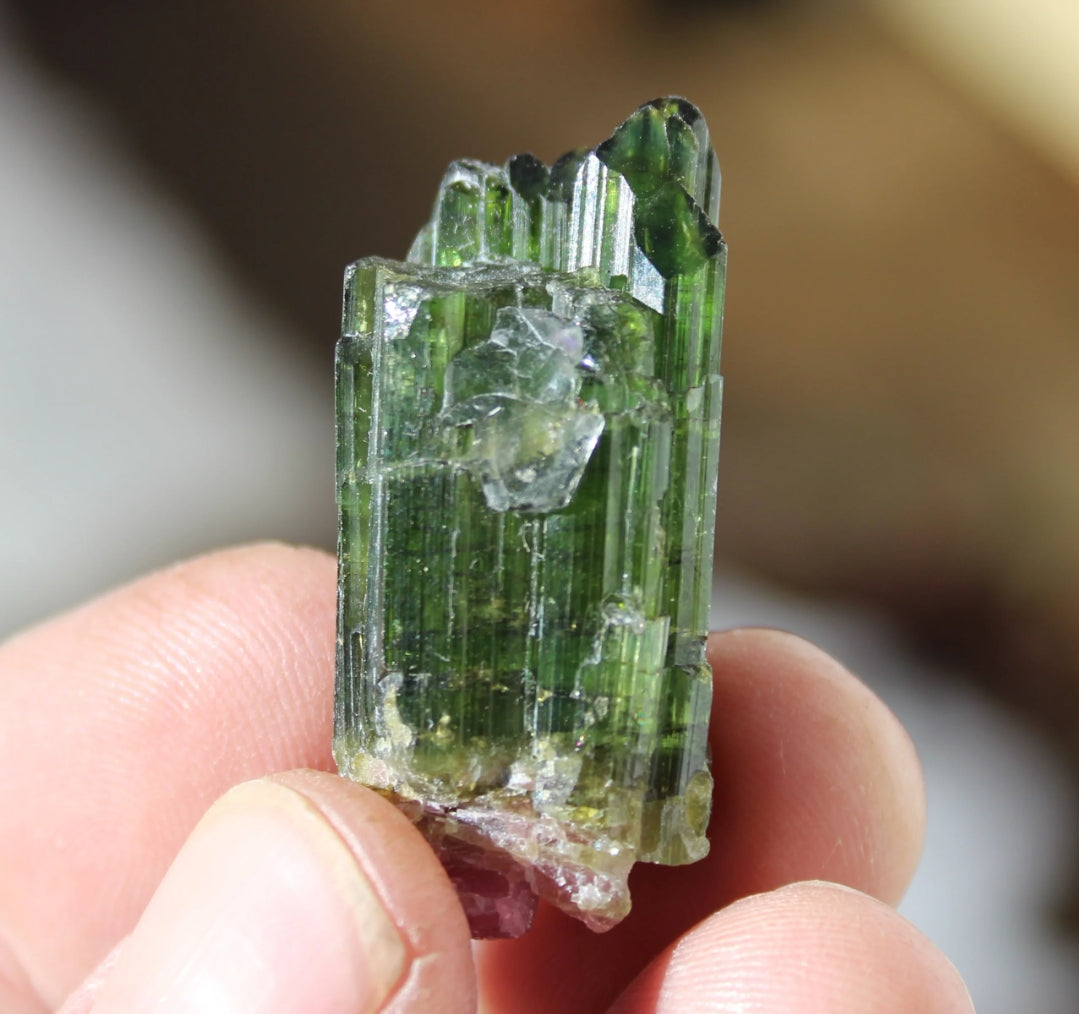 Watermelon Tourmaline