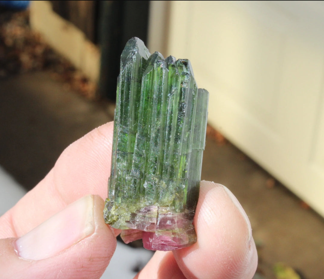 Watermelon Tourmaline