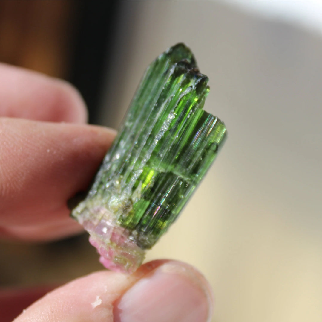 Watermelon Tourmaline