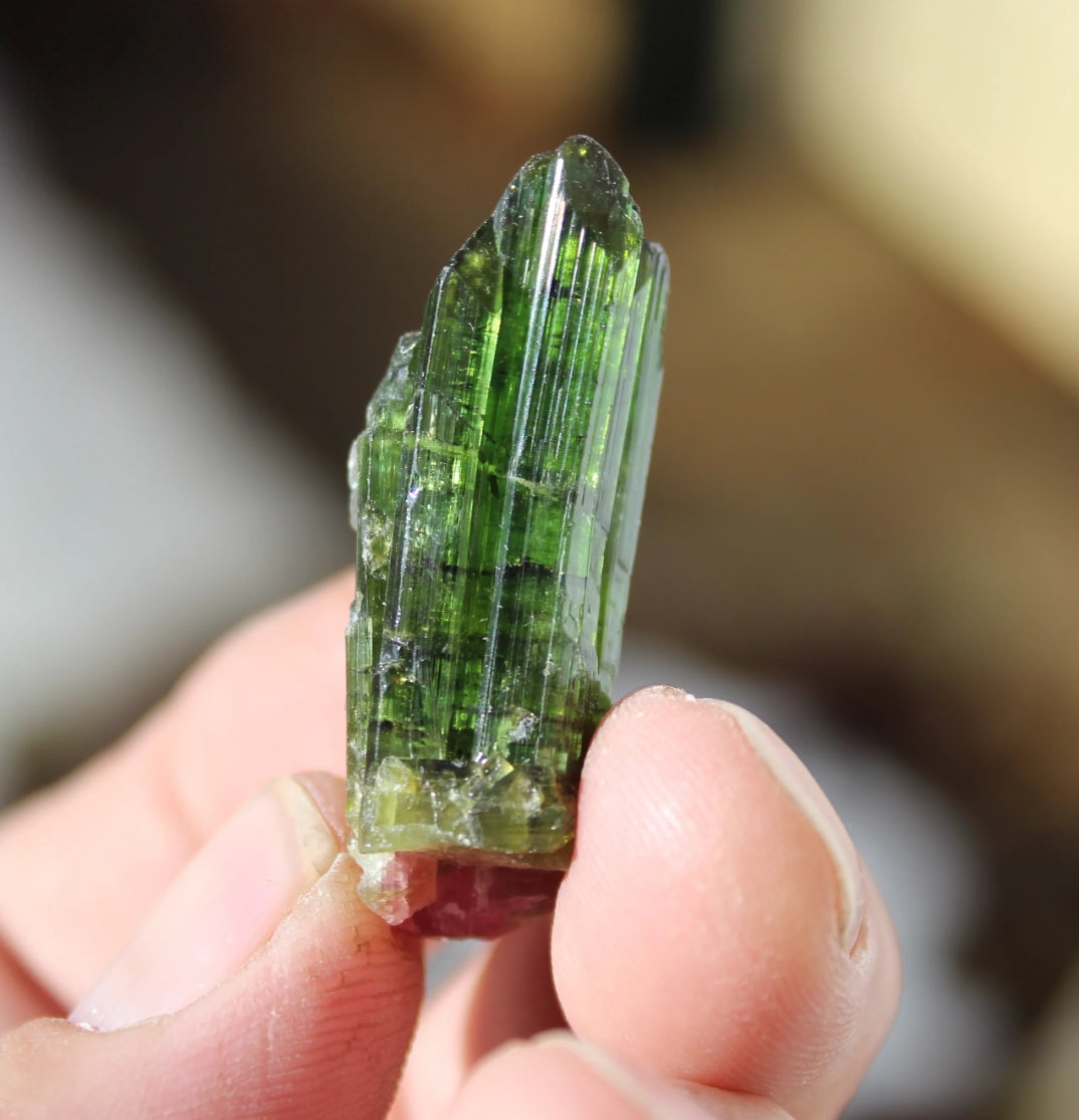 Watermelon Tourmaline