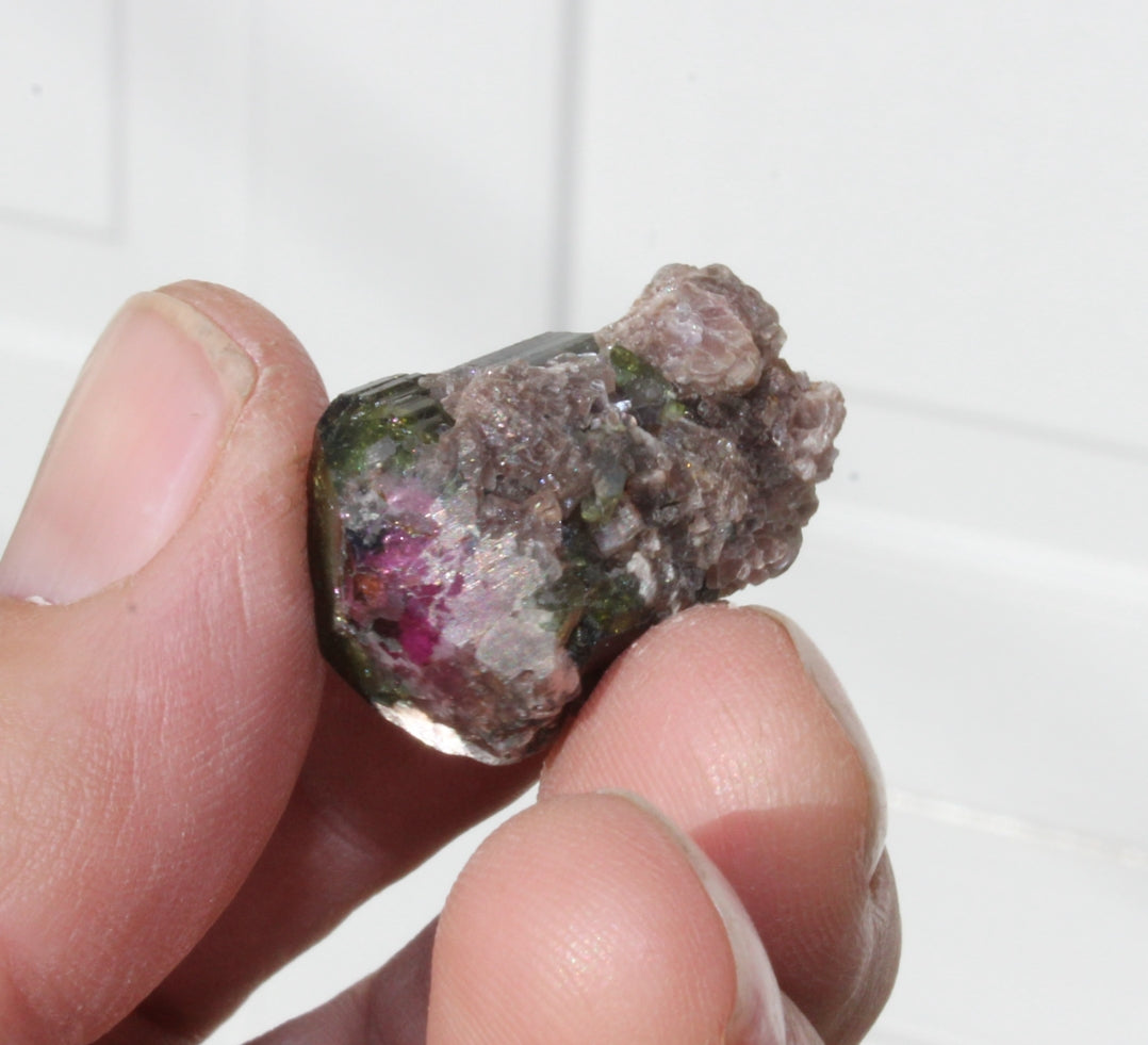 Watermelon Tourmaline with Lepidolite
