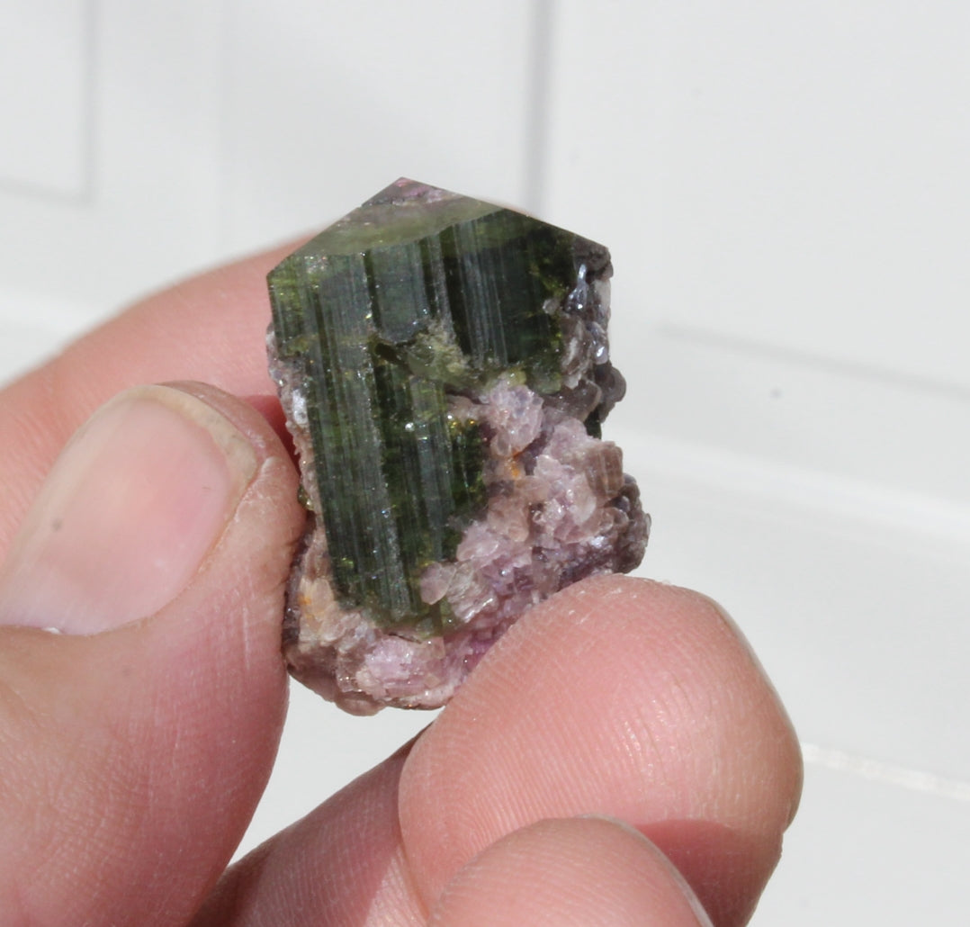 Watermelon Tourmaline with Lepidolite