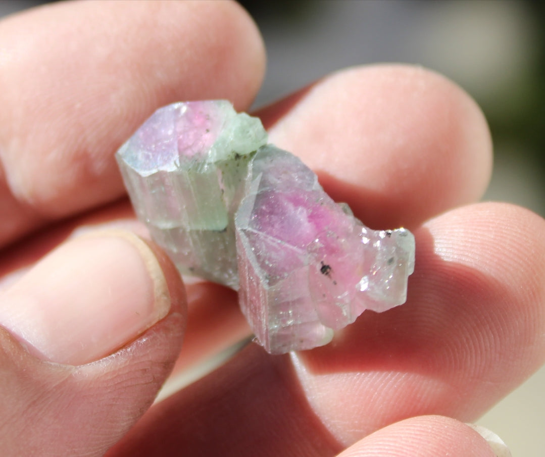 Watermelon Pink and Green Tourmaline