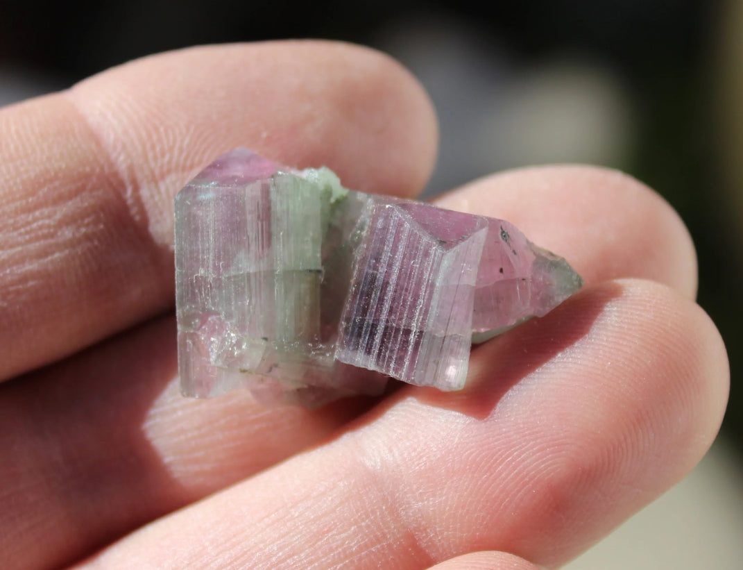 Watermelon Pink and Green Tourmaline