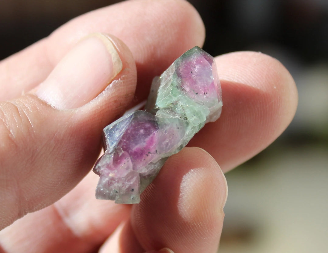 Watermelon Pink and Green Tourmaline