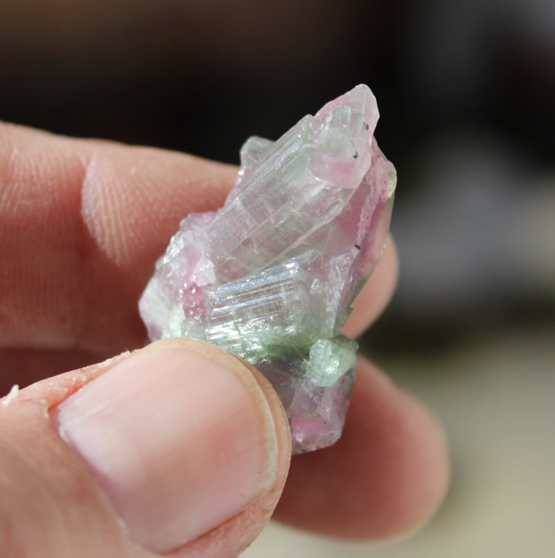 Watermelon Pink and Green Tourmaline