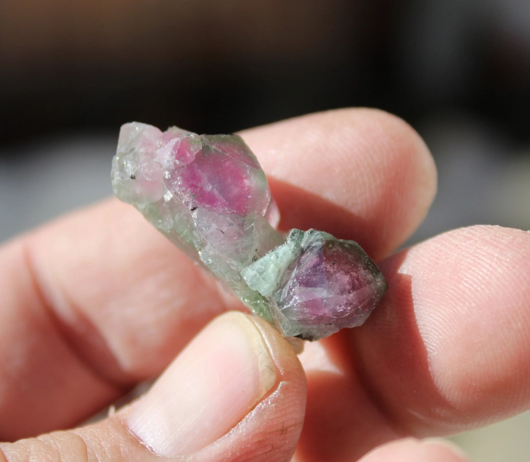 Watermelon Pink and Green Tourmaline