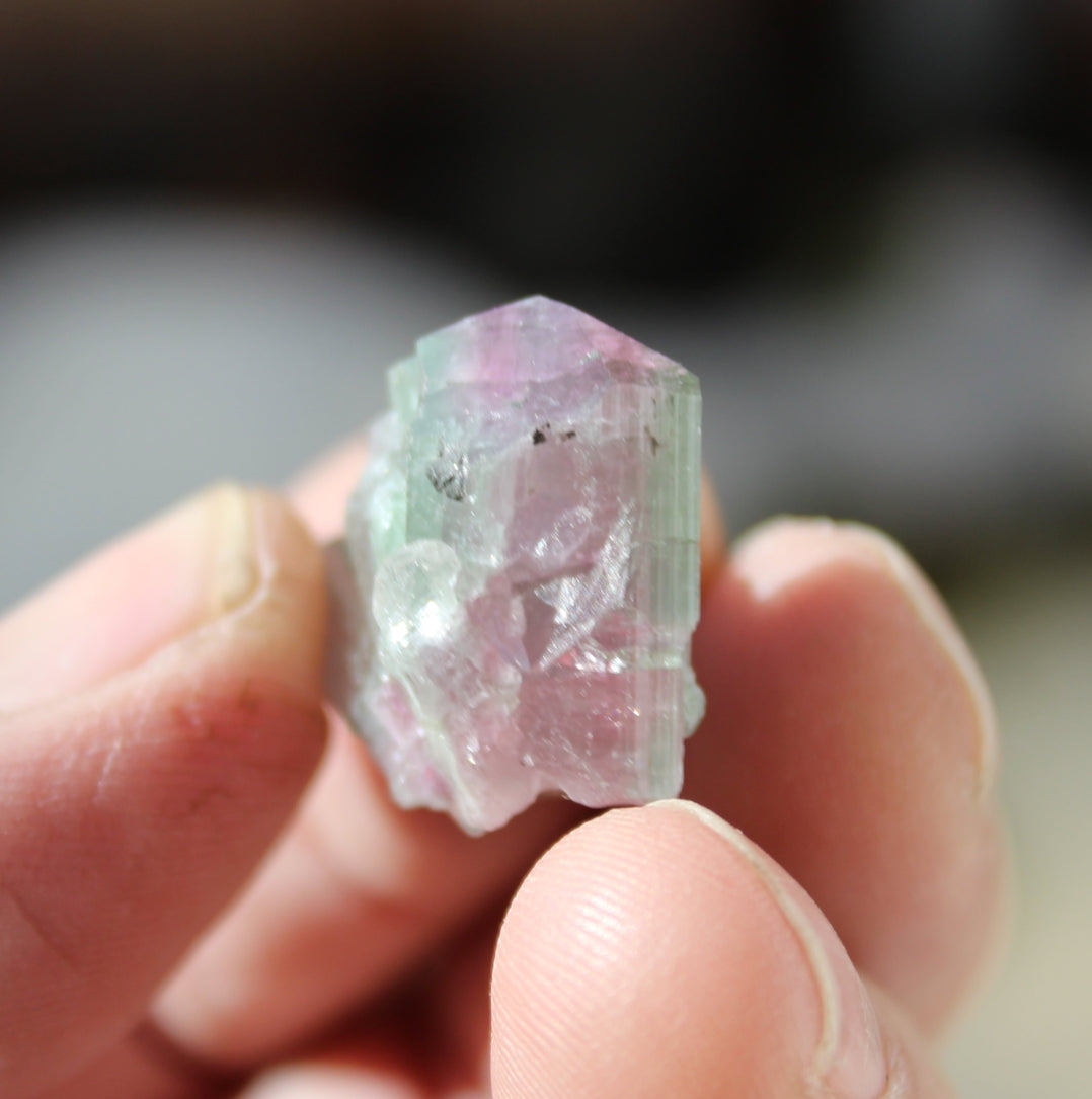 Watermelon Pink and Green Tourmaline